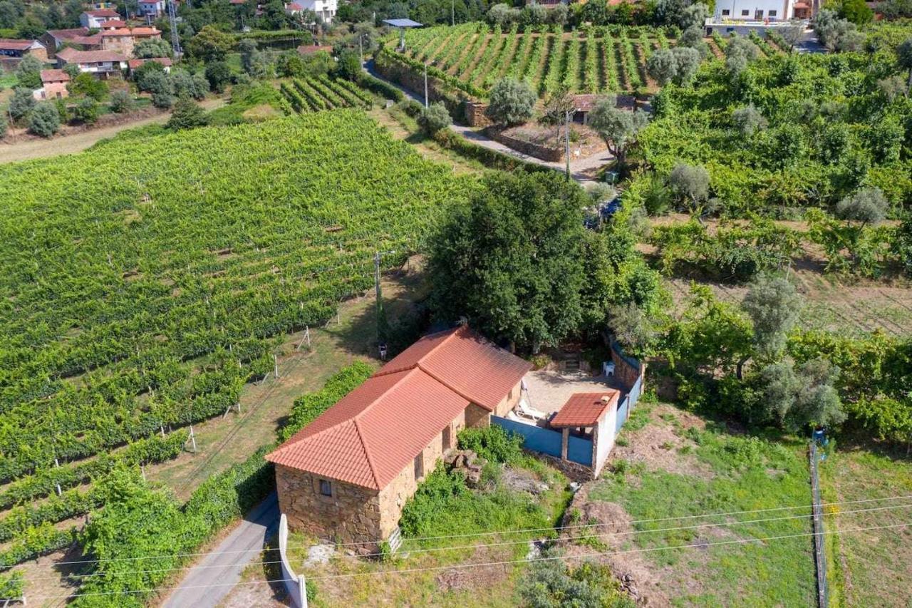 Casa Das Vinhas Camelias De Bastoturismo Rural Celorico De Basto Eksteriør bilde