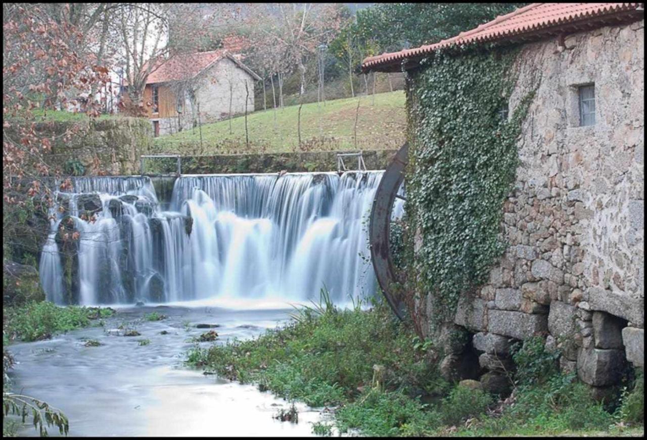 Casa Das Vinhas Camelias De Bastoturismo Rural Celorico De Basto Eksteriør bilde