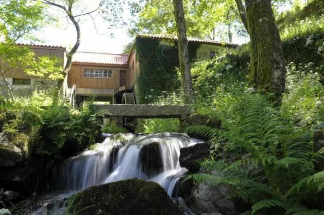 Casa Das Vinhas Camelias De Bastoturismo Rural Celorico De Basto Eksteriør bilde