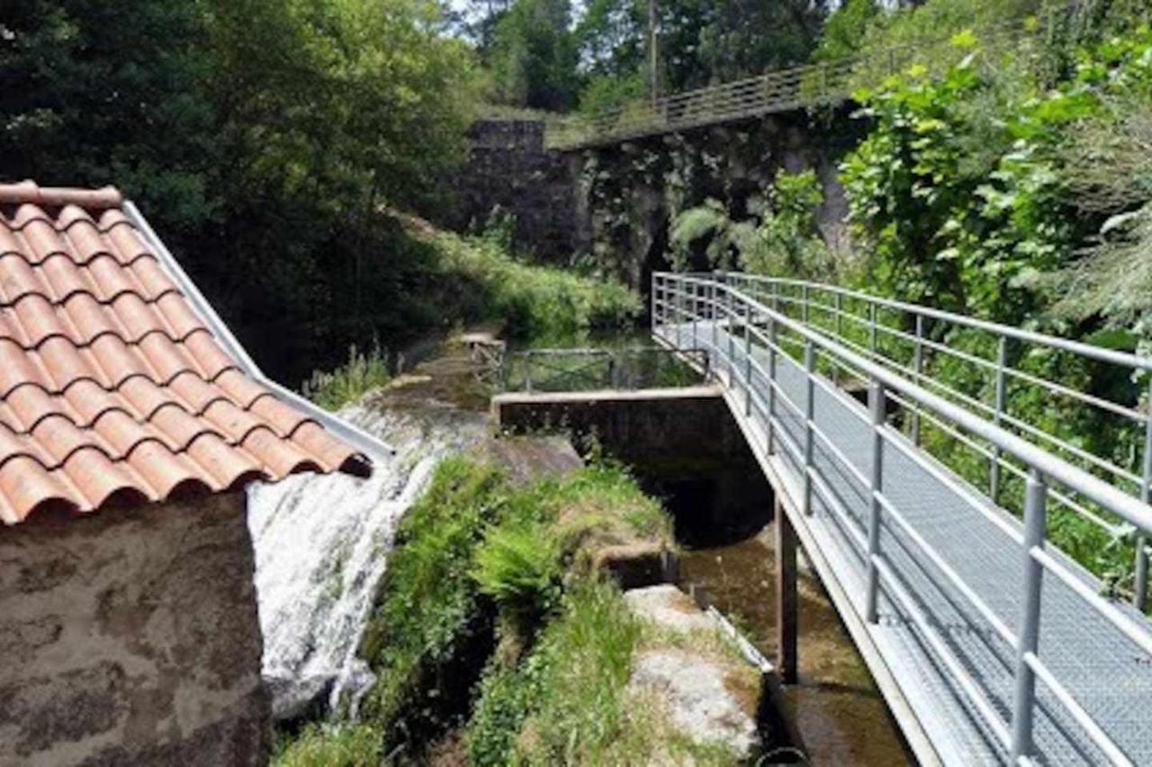 Casa Das Vinhas Camelias De Bastoturismo Rural Celorico De Basto Eksteriør bilde