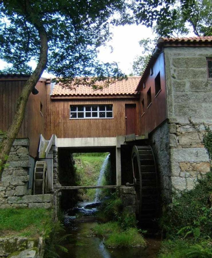 Casa Das Vinhas Camelias De Bastoturismo Rural Celorico De Basto Eksteriør bilde